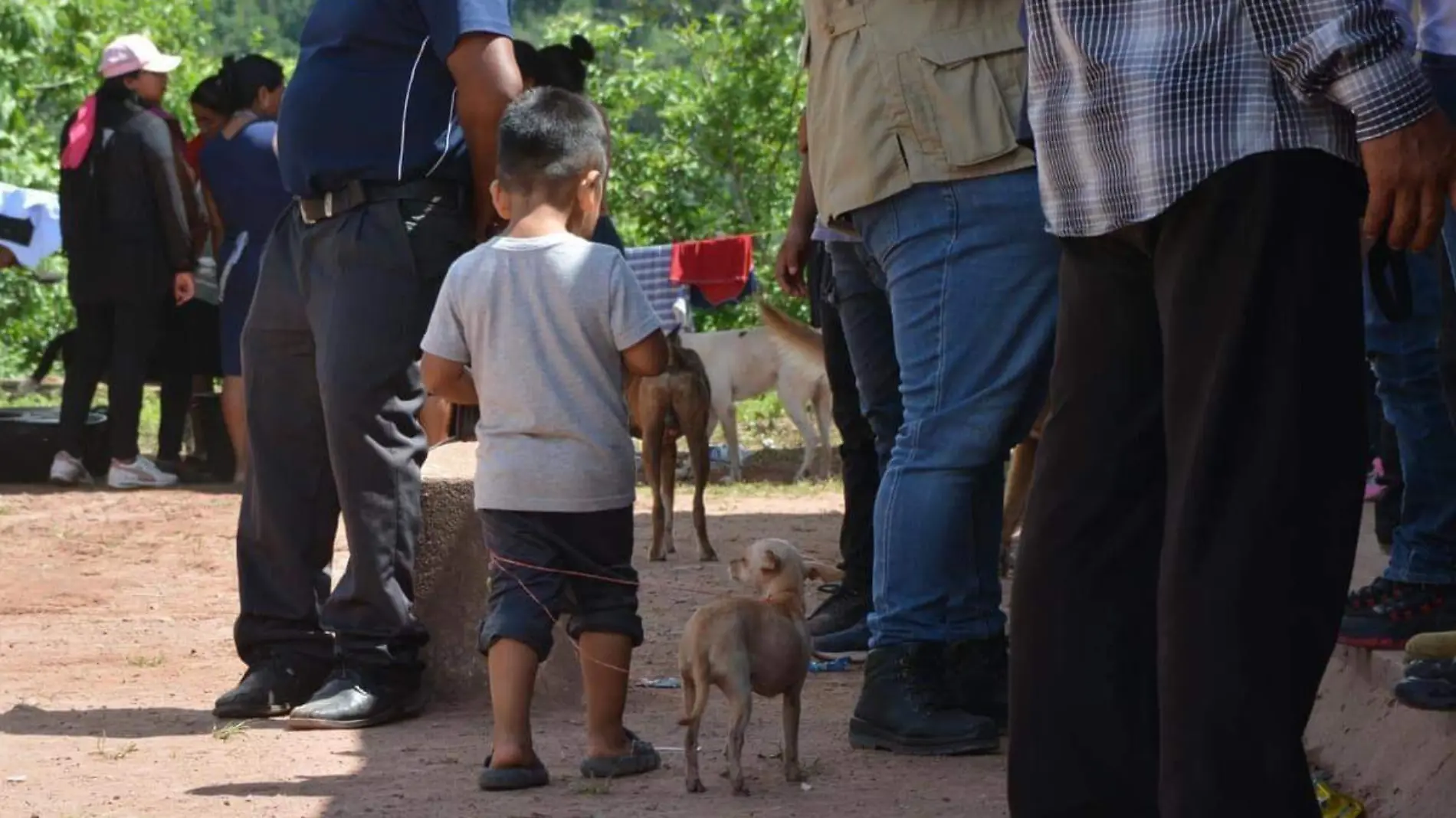 niño llevando un perro